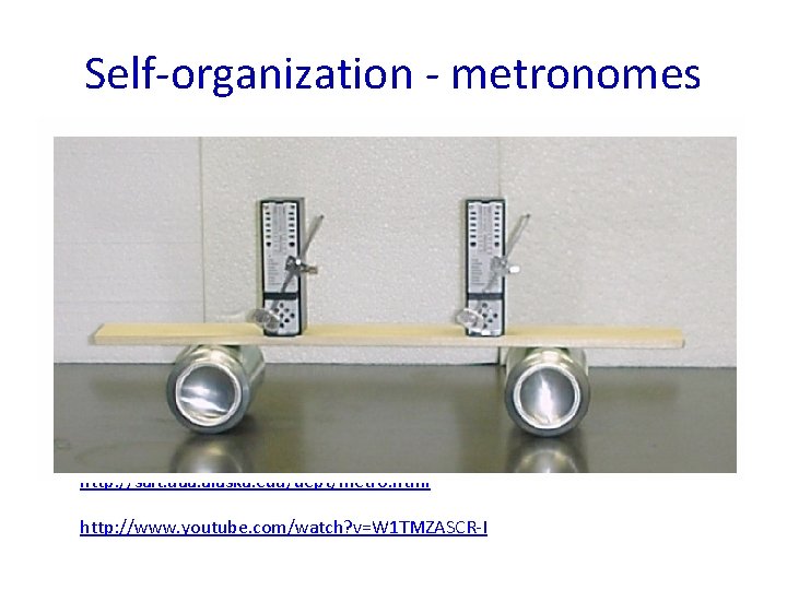 Self-organization - metronomes http: //salt. uaa. alaska. edu/dept/metro. html http: //www. youtube. com/watch? v=W