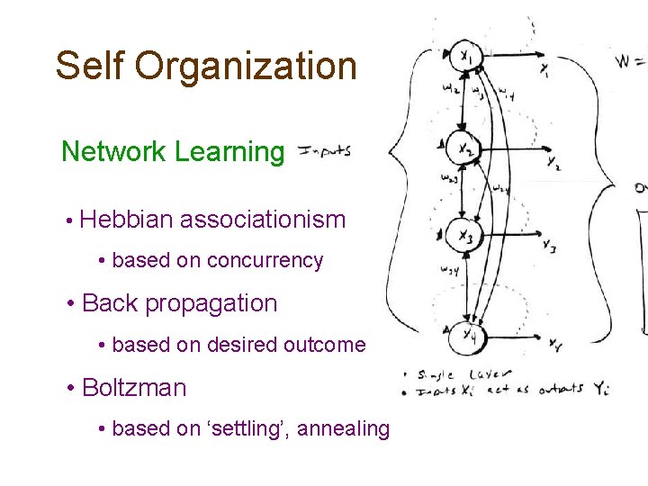 Self Organization Network Learning… • Hebbian associationism • based on concurrency • Back propagation