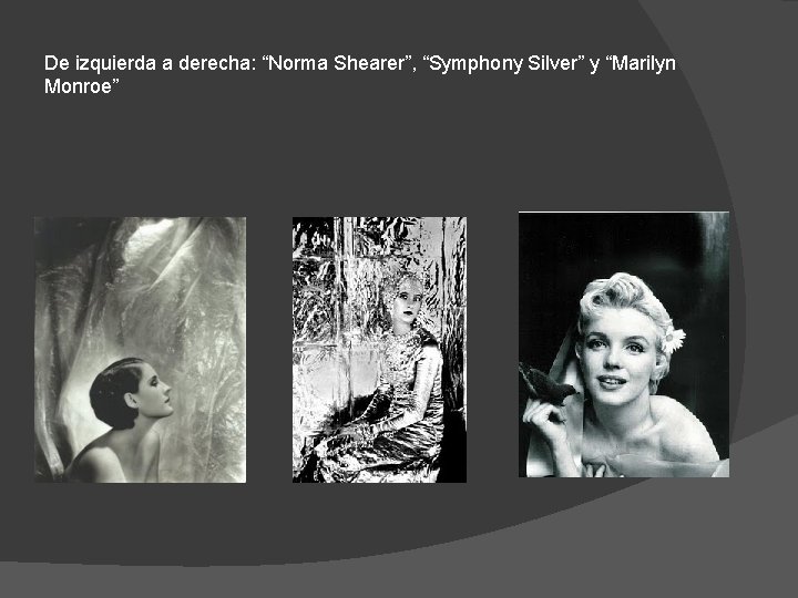 De izquierda a derecha: “Norma Shearer”, “Symphony Silver” y “Marilyn Monroe” 