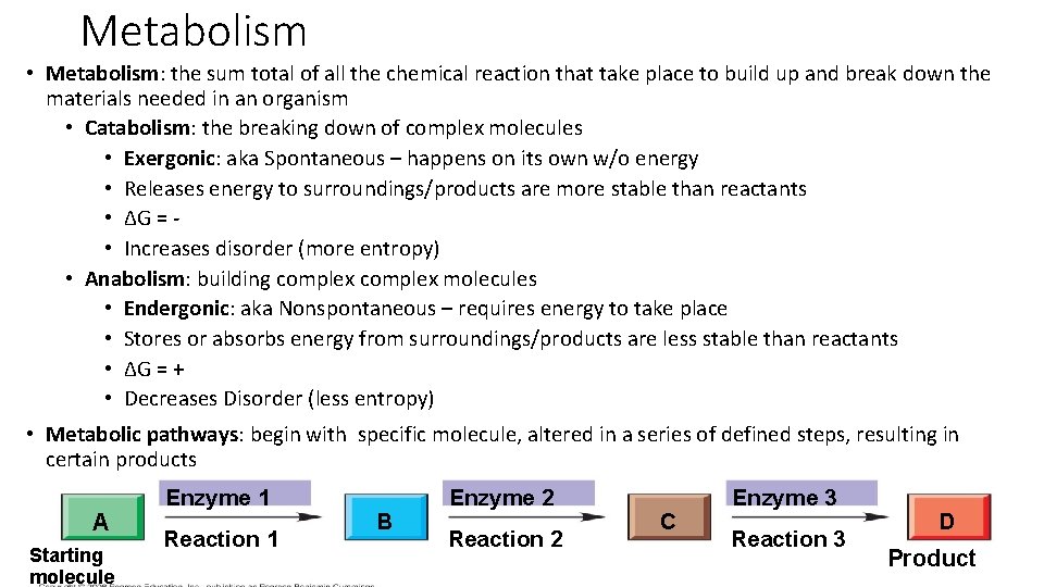 Metabolism • Metabolism: the sum total of all the chemical reaction that take place