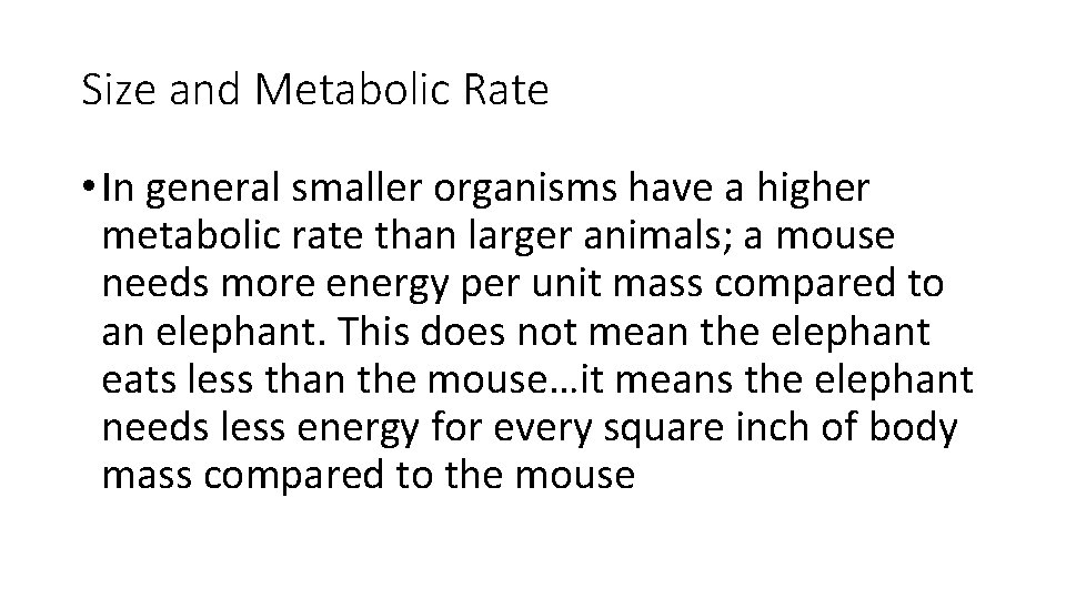 Size and Metabolic Rate • In general smaller organisms have a higher metabolic rate