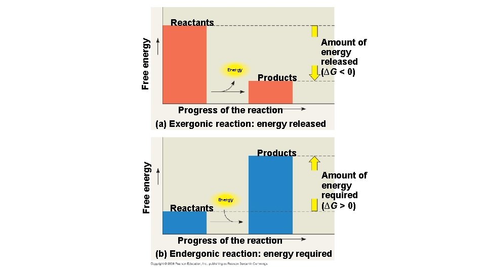 Free energy Reactants Energy Products Amount of energy released (∆G < 0) Progress of
