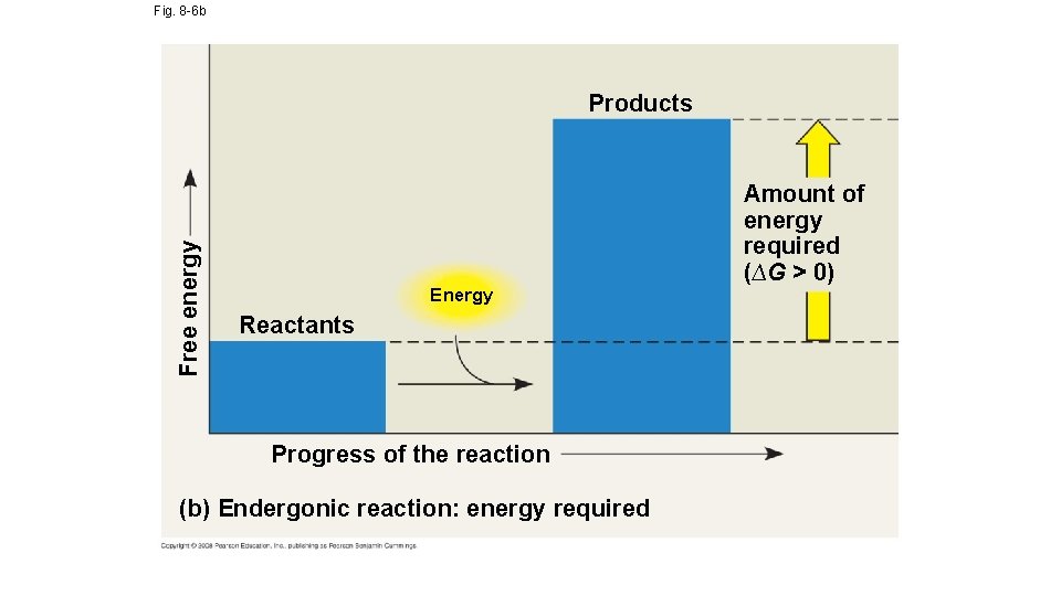 Fig. 8 -6 b Free energy Products Energy Reactants Progress of the reaction (b)