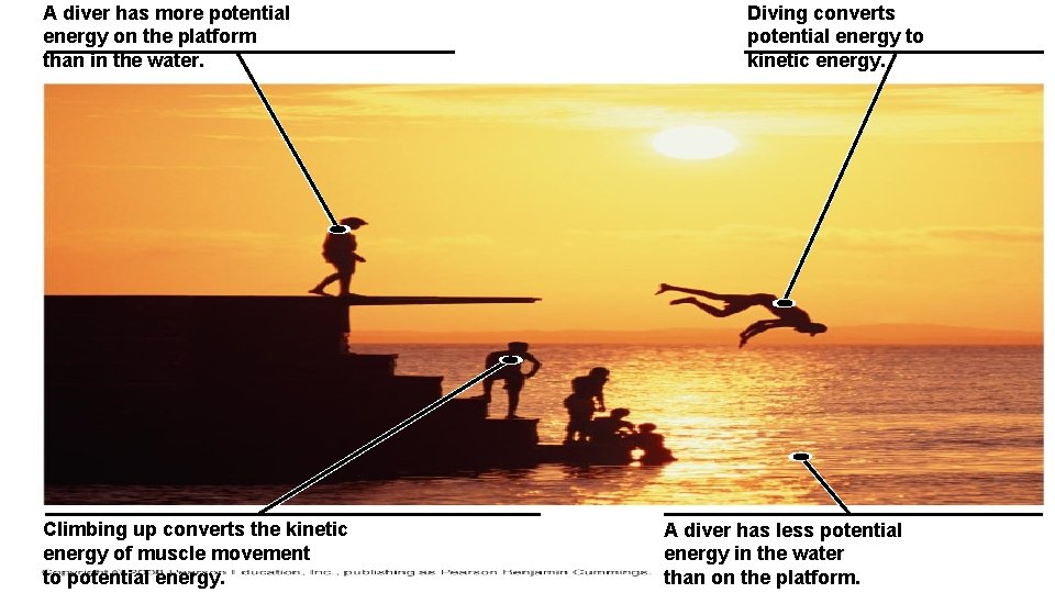 A diver has more potential energy on the platform than in the water. Climbing