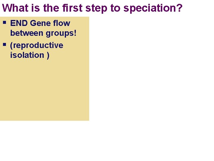 What is the first step to speciation? § END Gene flow § between groups!