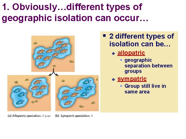 1. Obviously…different types of geographic isolation can occur… § 2 different types of isolation