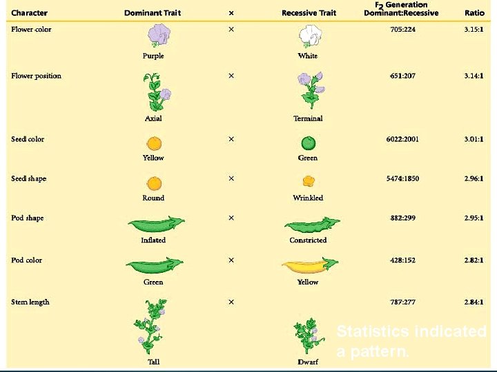 : Statistics indicated a pattern. 