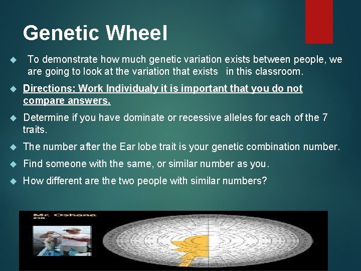 Genetic Wheel To demonstrate how much genetic variation exists between people, we are going