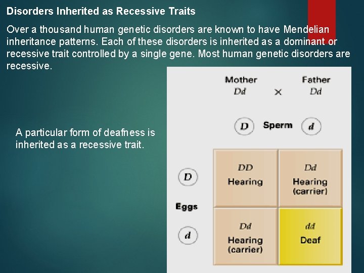 Disorders Inherited as Recessive Traits Over a thousand human genetic disorders are known to