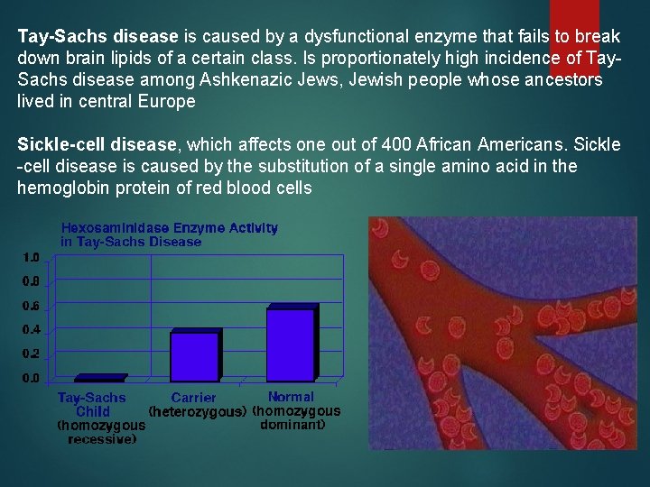 Tay-Sachs disease is caused by a dysfunctional enzyme that fails to break down brain