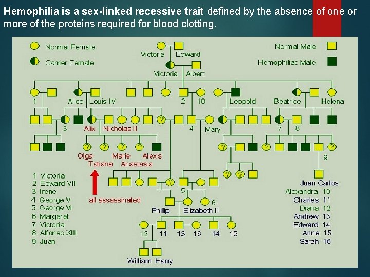 Hemophilia is a sex-linked recessive trait defined by the absence of one or more