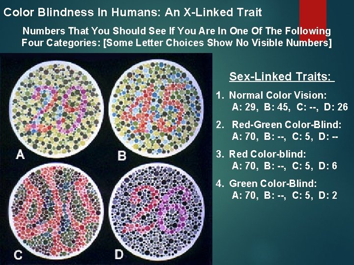 Color Blindness In Humans: An X-Linked Trait Numbers That You Should See If You