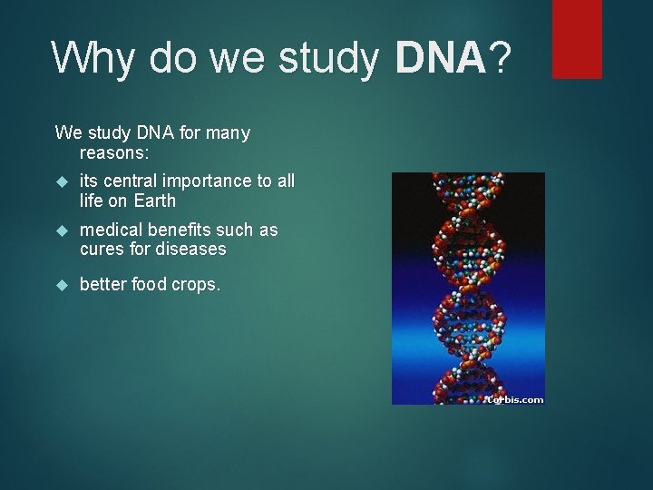 Why do we study DNA? We study DNA for many reasons: its central importance