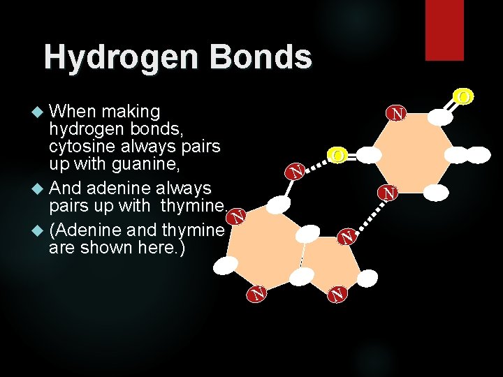 Hydrogen Bonds When making N hydrogen bonds, cytosine always pairs up with guanine, And