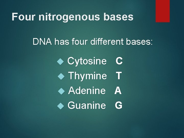 Four nitrogenous bases DNA has four different bases: Cytosine Thymine Adenine Guanine C T