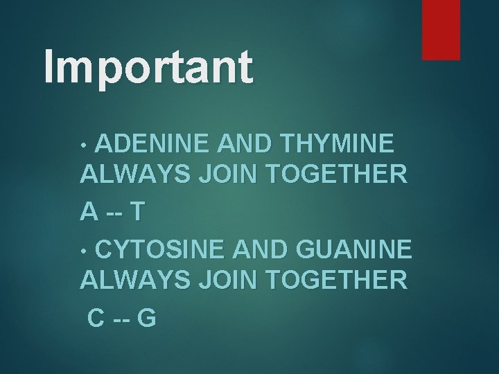 Important • ADENINE AND THYMINE ALWAYS JOIN TOGETHER A -- T • CYTOSINE AND