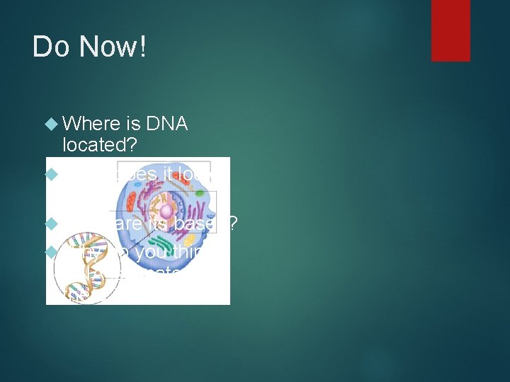 Do Now! Where is DNA located? What does it look like? What are its