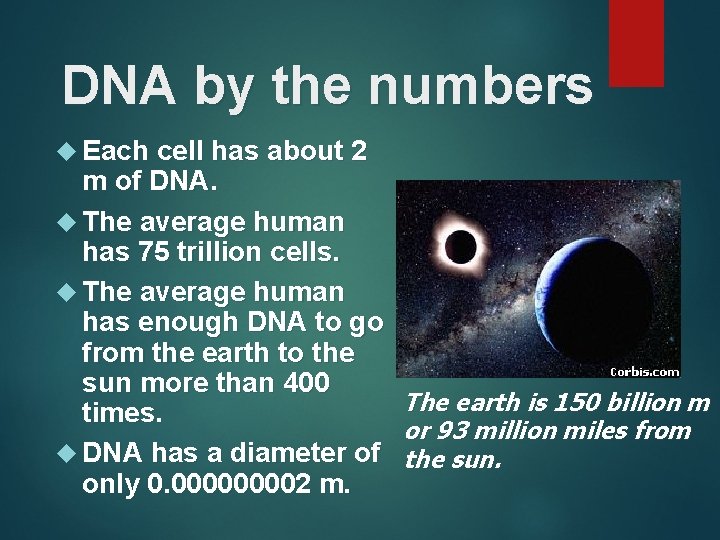 DNA by the numbers Each cell has about 2 m of DNA. The average