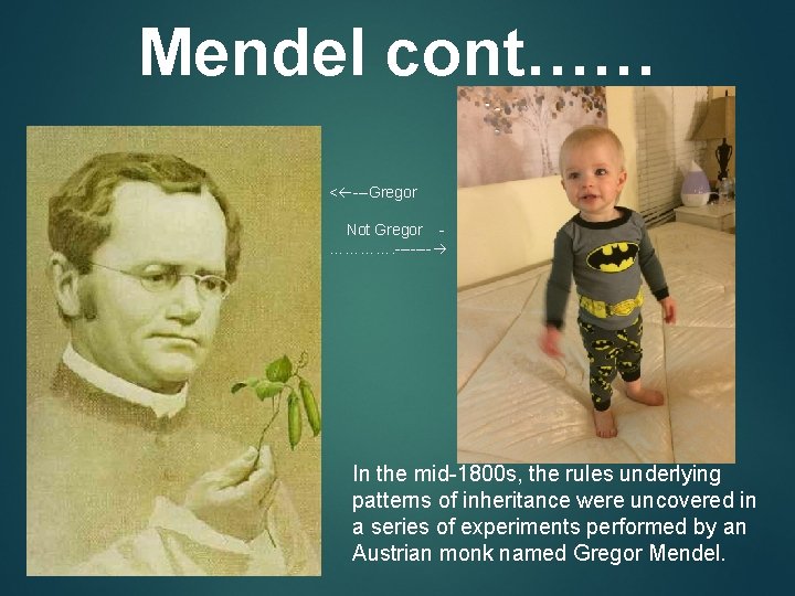 Mendel cont…… < ---Gregor Not Gregor …………. ------- In the mid-1800 s, the rules