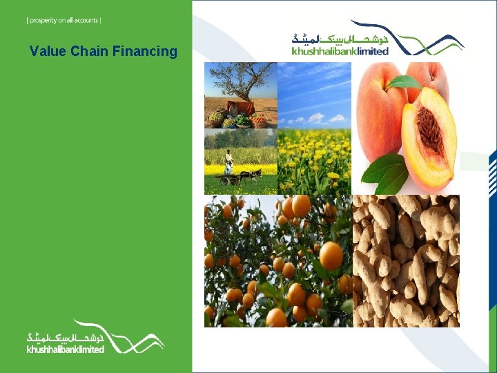 Value Chain Financing 