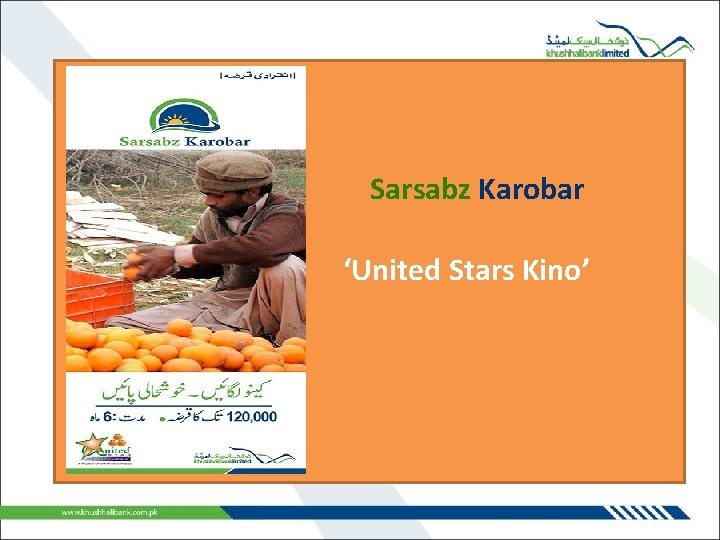 Sarsabz Karobar ‘United Stars Kino’ 