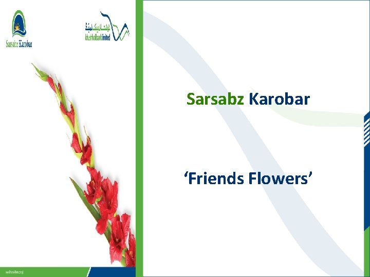 Sarsabz Karobar ‘Friends Flowers’ 