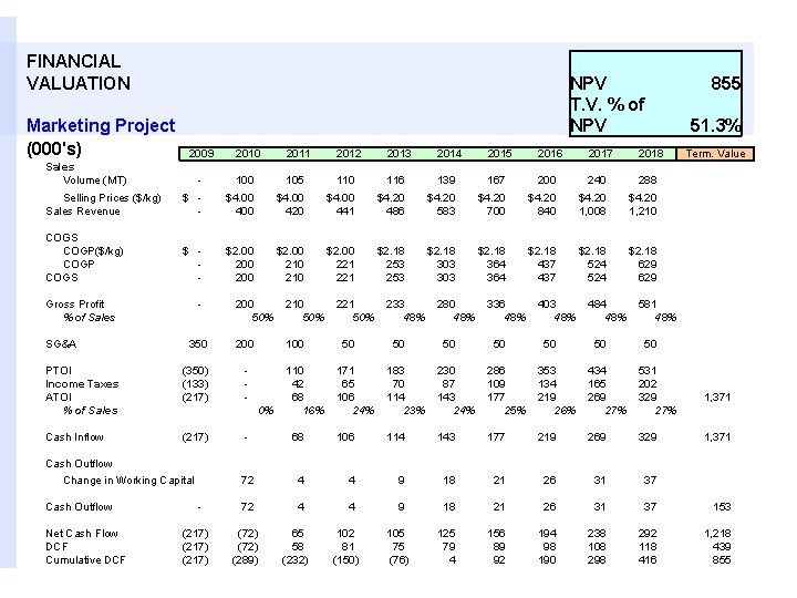 FINANCIAL VALUATION Marketing Project (000's) NPV T. V. % of NPV 2009 2010 2011