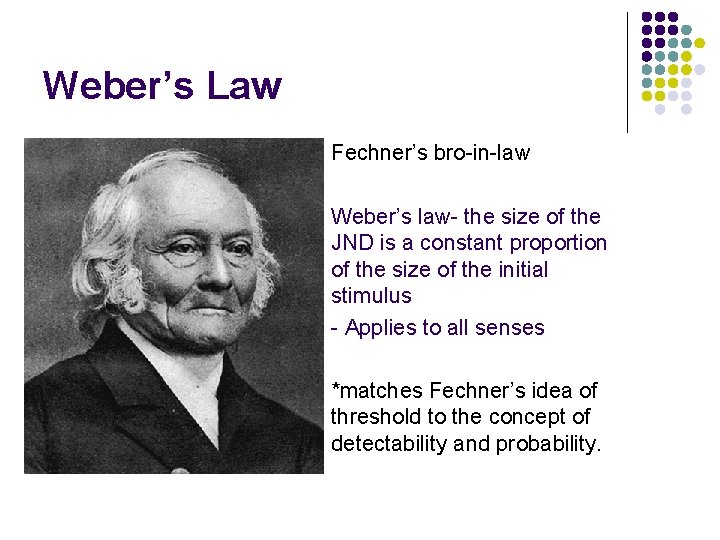 Weber’s Law Fechner’s bro-in-law Weber’s law- the size of the JND is a constant