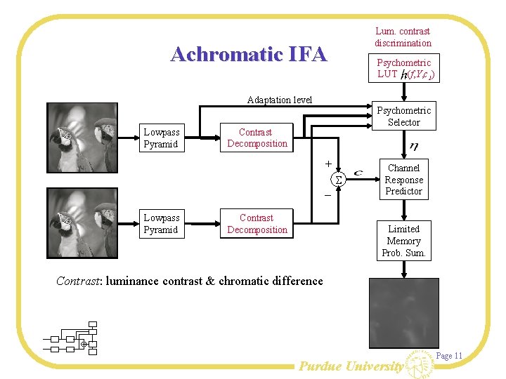 Lum. contrast Chromatic diff. discrimination Red-green IFA Achromatic IFA Psychometric LUT (f, o (f,