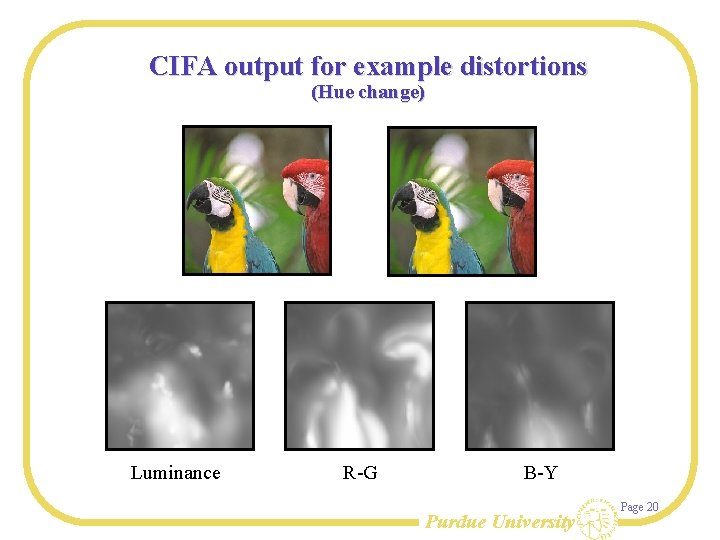 CIFA output for example distortions (Hue change) Luminance R-G B-Y Purdue University Page 20