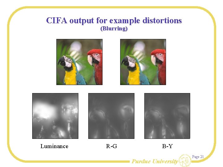 CIFA output for example distortions (Blurring) Luminance R-G B-Y Purdue University Page 21 