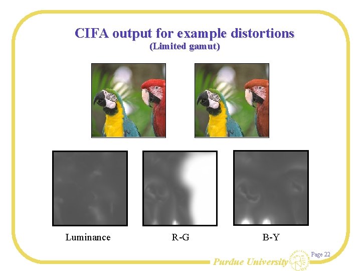 CIFA output for example distortions (Limited gamut) Luminance R-G B-Y Purdue University Page 22