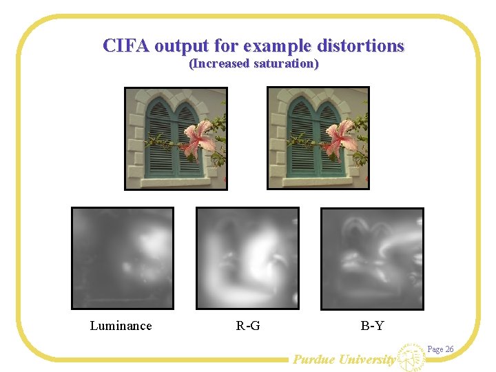 CIFA output for example distortions (Increased saturation) Luminance R-G B-Y Purdue University Page 26