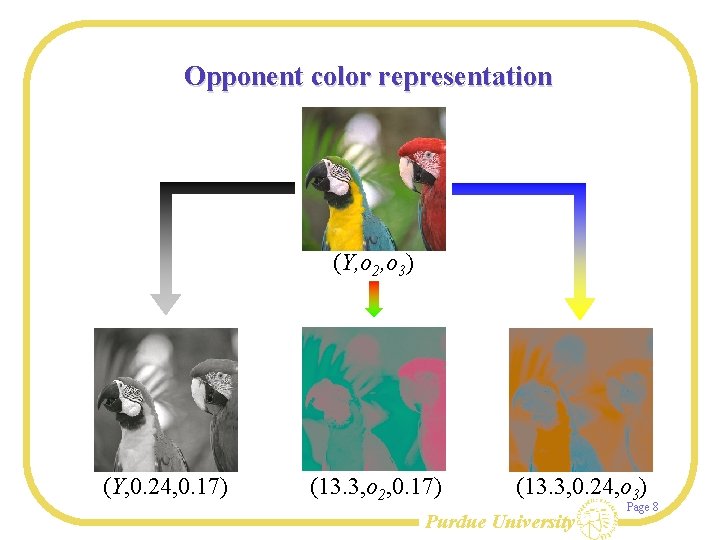 Opponent color representation (Y, o 2, o 3) (Y, 0. 24, 0. 17) (13.