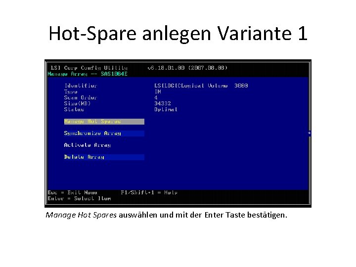 Hot-Spare anlegen Variante 1 Manage Hot Spares auswählen und mit der Enter Taste bestätigen.