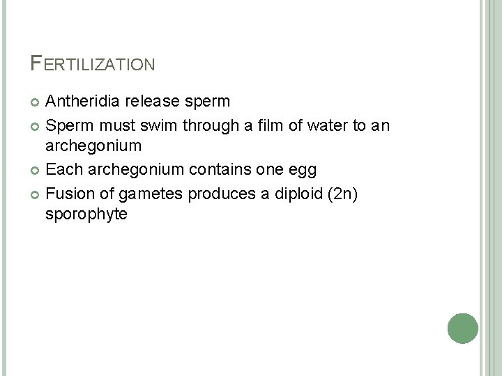 FERTILIZATION Antheridia release sperm Sperm must swim through a film of water to an