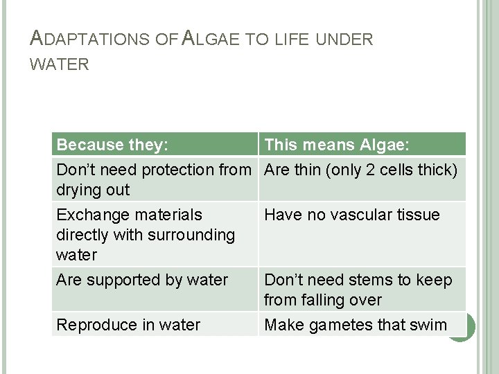 ADAPTATIONS OF ALGAE TO LIFE UNDER WATER Because they: This means Algae: Don’t need