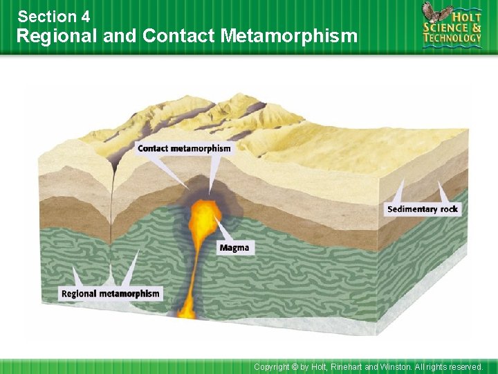 Section 4 Regional and Contact Metamorphism Copyright © by Holt, Rinehart and Winston. All