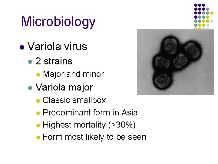 Microbiology l Variola virus l 2 strains l l Major and minor Variola major