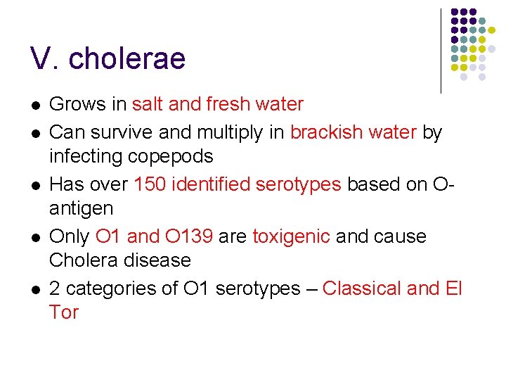 V. cholerae l l l Grows in salt and fresh water Can survive and