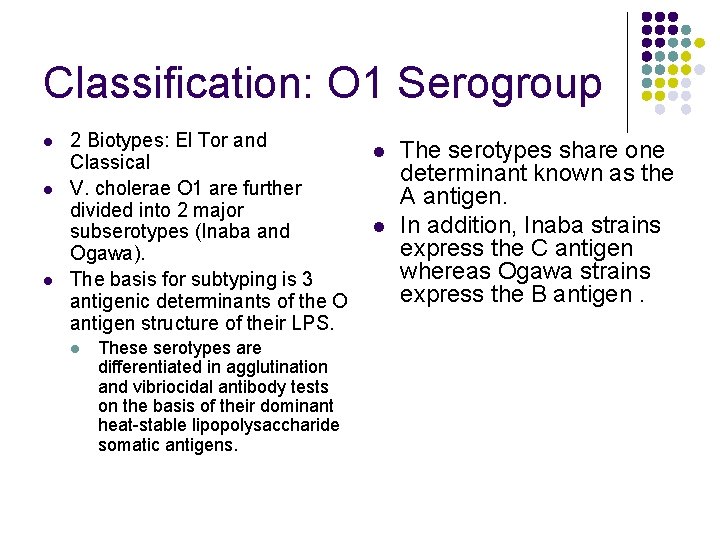 Classification: O 1 Serogroup l l l 2 Biotypes: El Tor and l Classical