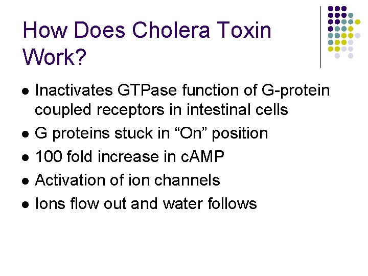 How Does Cholera Toxin Work? l l l Inactivates GTPase function of G-protein coupled