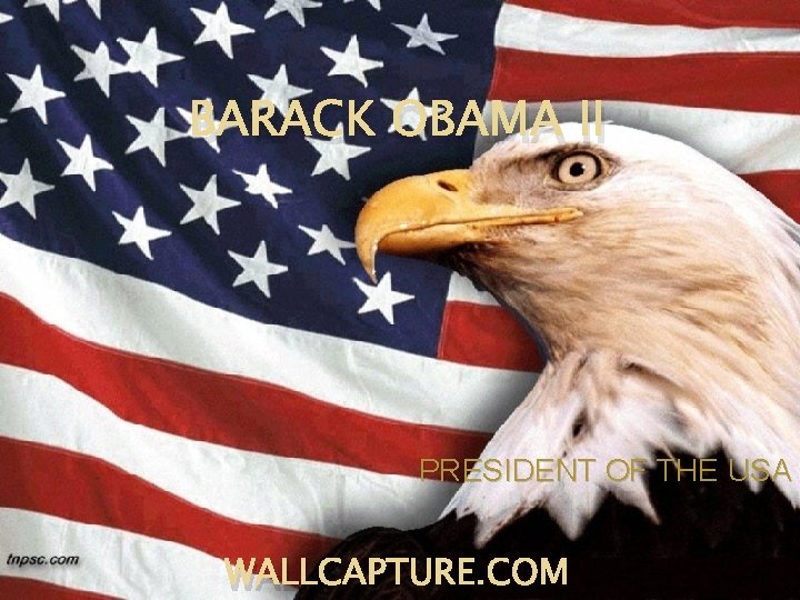 BARACK OBAMA II PRESIDENT OF THE USA WALLCAPTURE. COM 
