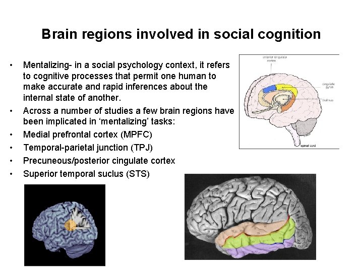 Brain regions involved in social cognition • • • Mentalizing- in a social psychology