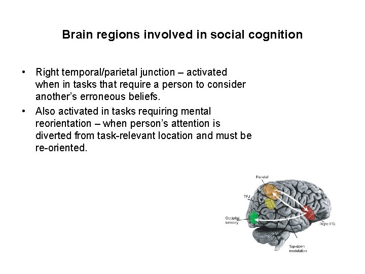 Brain regions involved in social cognition • Right temporal/parietal junction – activated when in