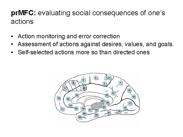 pr. MFC: evaluating social consequences of one’s actions • Action monitoring and error correction