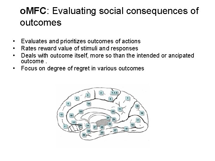 o. MFC: Evaluating social consequences of outcomes • Evaluates and prioritizes outcomes of actions