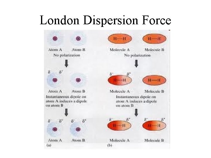 London Dispersion Force 