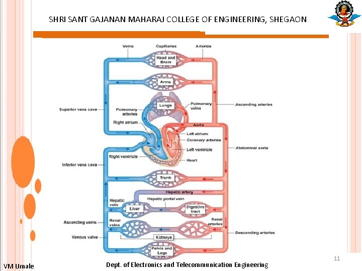 SHRI SANT GAJANAN MAHARAJ COLLEGE OF ENGINEERING, SHEGAON : VM Umale Dept. of Electronics