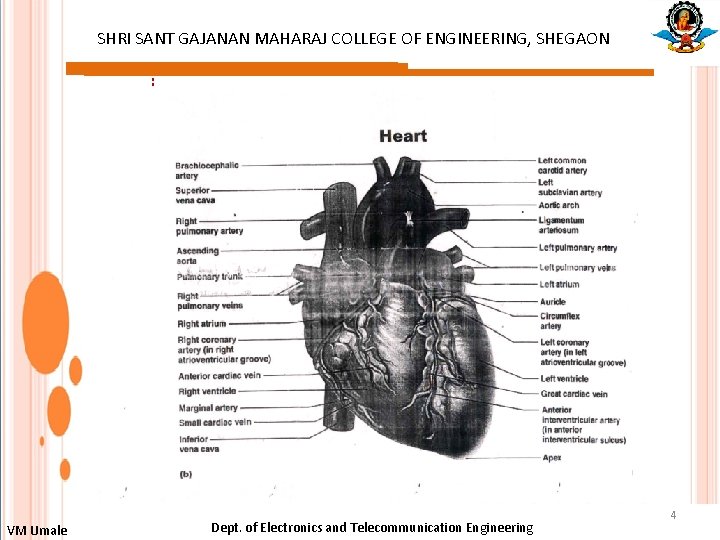 SHRI SANT GAJANAN MAHARAJ COLLEGE OF ENGINEERING, SHEGAON : VM Umale Dept. of Electronics